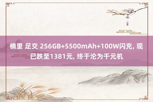 楠里 足交 256GB+5500mAh+100W闪充， 现已跌至1381元， 终于沦为千元机