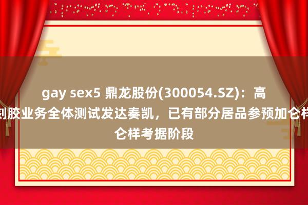 gay sex5 鼎龙股份(300054.SZ)：高端晶圆光刻胶业务全体测试发达奏凯，已有部分居品参预加仑样考据阶段