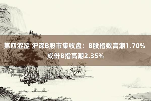 第四涩涩 沪深B股市集收盘：B股指数高潮1.70% 成份B指高潮2.35%