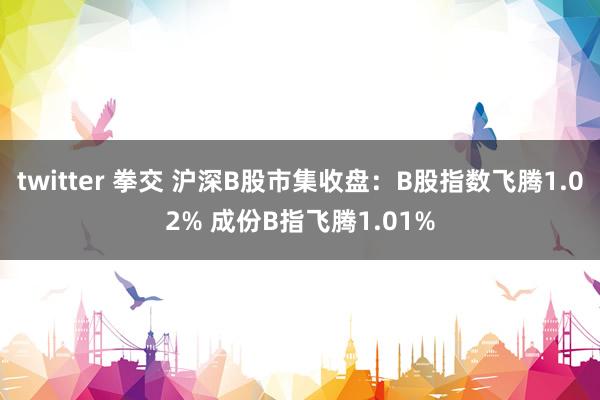 twitter 拳交 沪深B股市集收盘：B股指数飞腾1.02% 成份B指飞腾1.01%