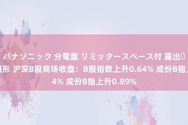 パナソニック 分電盤 リミッタースペース付 露出・半埋込両用形 沪深B股商场收盘：B股指数上升0.64% 成份B指上升0.89%