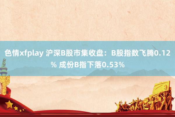 色情xfplay 沪深B股市集收盘：B股指数飞腾0.12% 成份B指下落0.53%