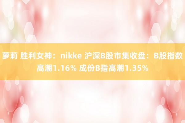 萝莉 胜利女神：nikke 沪深B股市集收盘：B股指数高潮1.16% 成份B指高潮1.35%