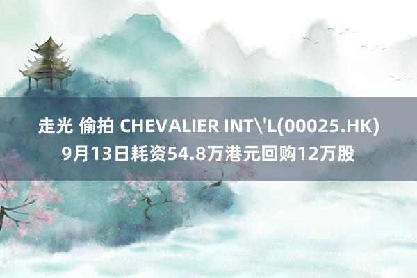 走光 偷拍 CHEVALIER INT'L(00025.HK)9月13日耗资54.8万港元回购12万股