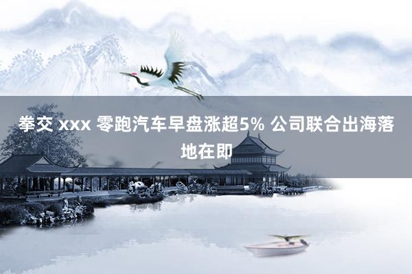 拳交 xxx 零跑汽车早盘涨超5% 公司联合出海落地在即