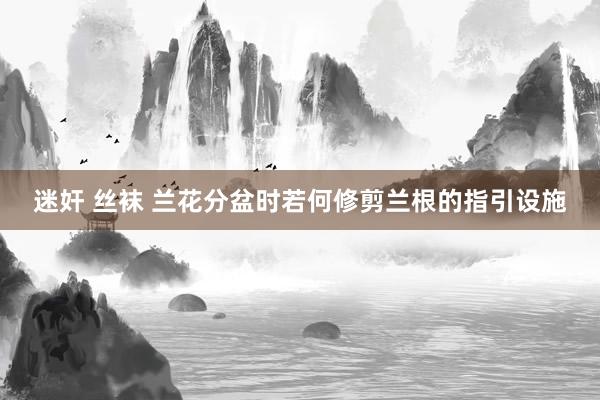 迷奸 丝袜 兰花分盆时若何修剪兰根的指引设施