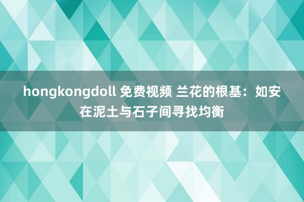 hongkongdoll 免费视频 兰花的根基：如安在泥土与石子间寻找均衡