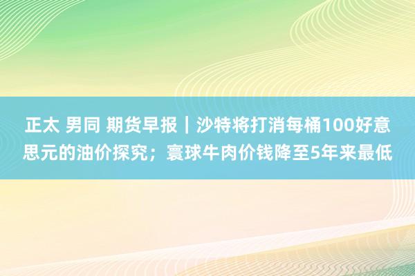 正太 男同 期货早报｜沙特将打消每桶100好意思元的油价探究；寰球牛肉价钱降至5年来最低