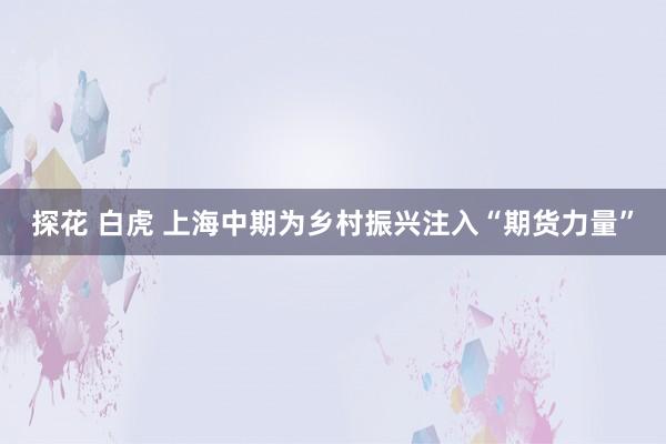 探花 白虎 上海中期为乡村振兴注入“期货力量”