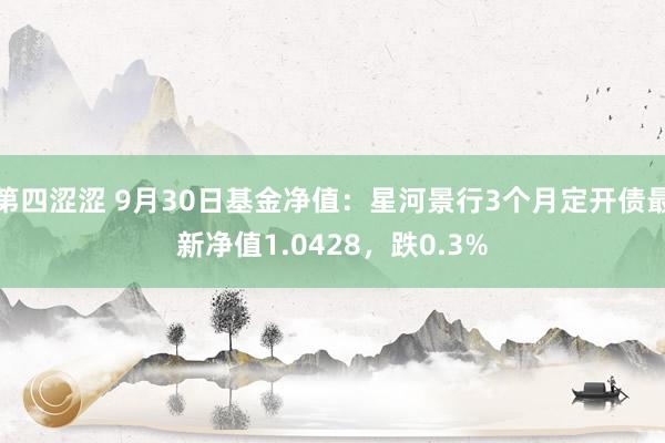 第四涩涩 9月30日基金净值：星河景行3个月定开债最新净值1.0428，跌0.3%