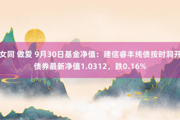 女同 做爱 9月30日基金净值：建信睿丰纯债按时洞开债券最新净值1.0312，跌0.16%