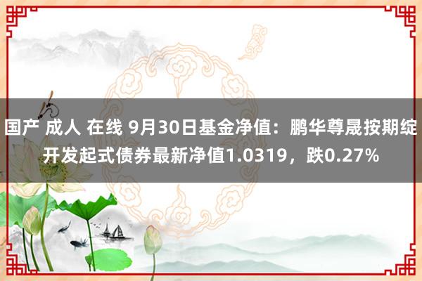 国产 成人 在线 9月30日基金净值：鹏华尊晟按期绽开发起式债券最新净值1.0319，跌0.27%