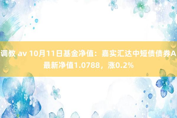 调教 av 10月11日基金净值：嘉实汇达中短债债券A最新净值1.0788，涨0.2%