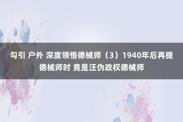 勾引 户外 深度领悟德械师（3）1940年后再提德械师时 竟是汪伪政权德械师