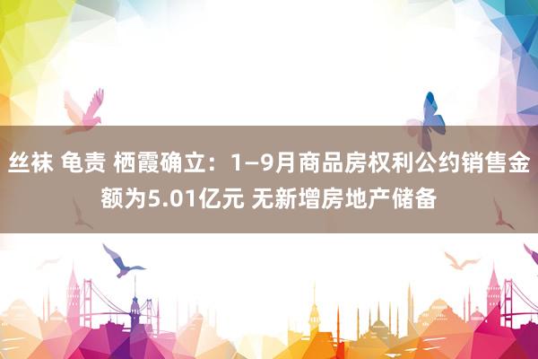 丝袜 龟责 栖霞确立：1—9月商品房权利公约销售金额为5.01亿元 无新增房地产储备