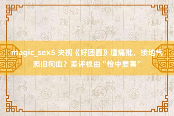 magic_sex5 央视《好团圆》遭痛批，接地气照旧狗血？差评根由“恰中要害”