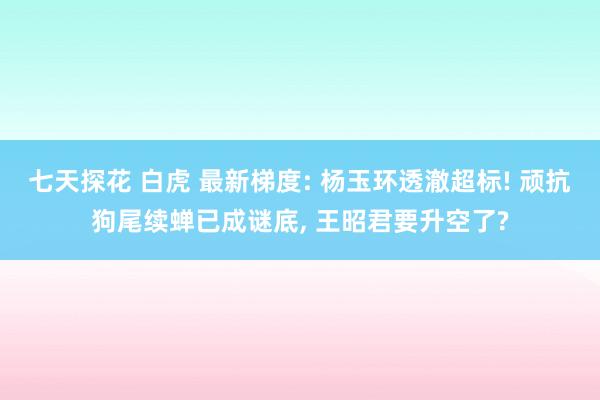 七天探花 白虎 最新梯度: 杨玉环透澈超标! 顽抗狗尾续蝉已成谜底， 王昭君要升空了?