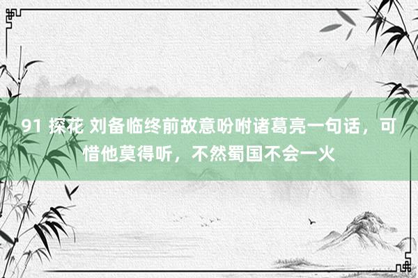 91 探花 刘备临终前故意吩咐诸葛亮一句话，可惜他莫得听，不然蜀国不会一火