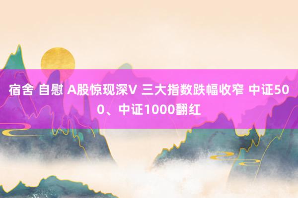 宿舍 自慰 A股惊现深V 三大指数跌幅收窄 中证500、中证1000翻红