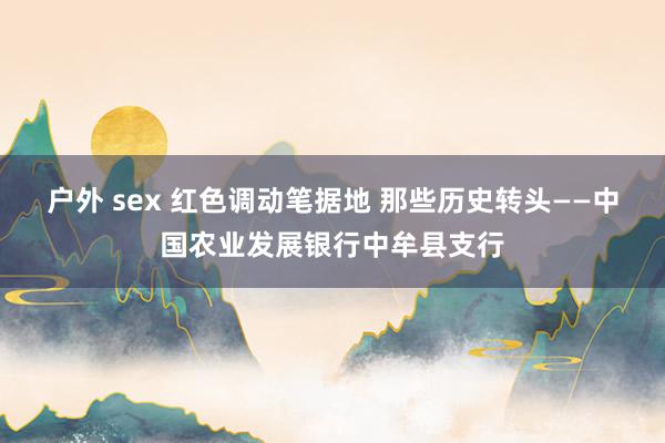 户外 sex 红色调动笔据地 那些历史转头——中国农业发展银行中牟县支行