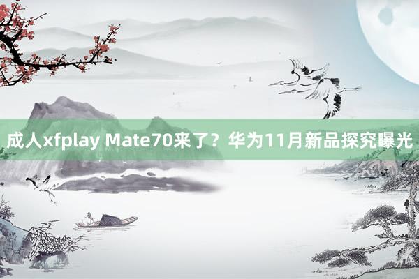 成人xfplay Mate70来了？华为11月新品探究曝光