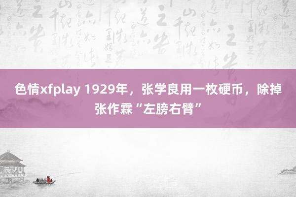 色情xfplay 1929年，张学良用一枚硬币，除掉张作霖“左膀右臂”