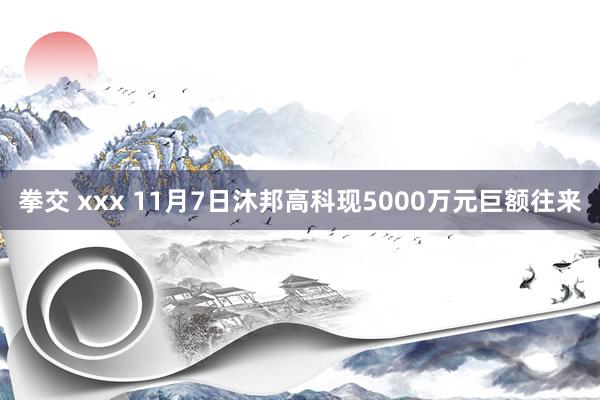 拳交 xxx 11月7日沐邦高科现5000万元巨额往来