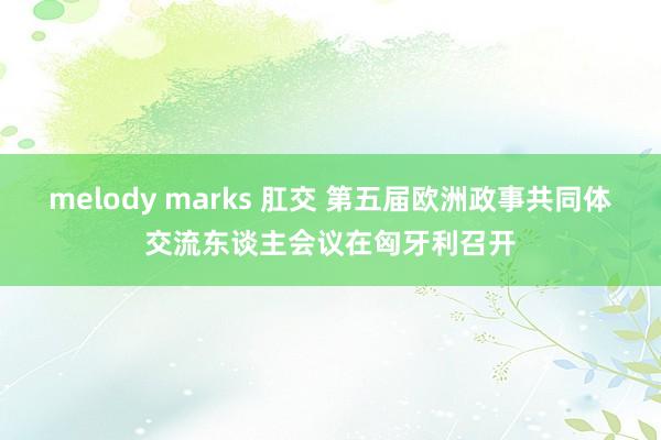 melody marks 肛交 第五届欧洲政事共同体交流东谈主会议在匈牙利召开