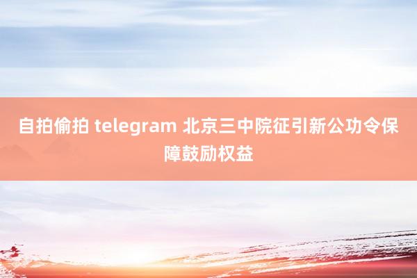 自拍偷拍 telegram 北京三中院征引新公功令保障鼓励权益