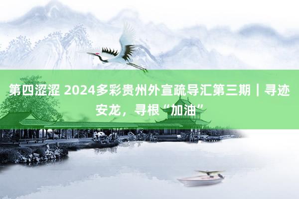 第四涩涩 2024多彩贵州外宣疏导汇第三期｜寻迹安龙，寻根“加油”