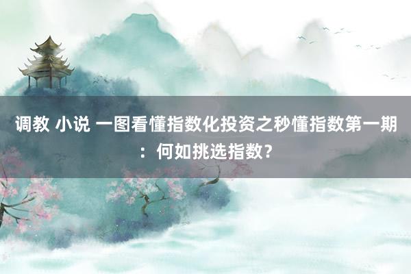 调教 小说 一图看懂指数化投资之秒懂指数第一期：何如挑选指数？