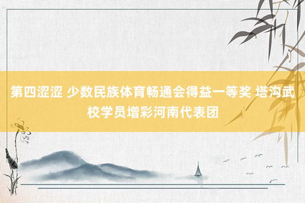 第四涩涩 少数民族体育畅通会得益一等奖 塔沟武校学员增彩河南代表团