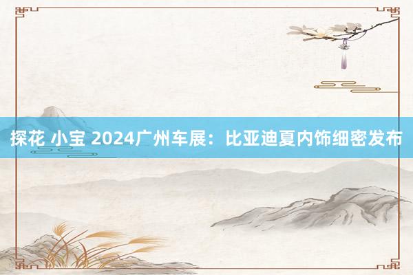 探花 小宝 2024广州车展：比亚迪夏内饰细密发布