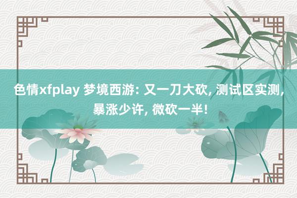 色情xfplay 梦境西游: 又一刀大砍， 测试区实测， 暴涨少许， 微砍一半!