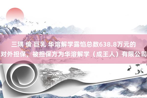 三隅 倫 巨乳 华溶解学露馅总数638.8万元的对外担保，被担保方为华溶解学（成王人）有限公司