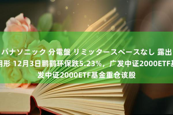 パナソニック 分電盤 リミッタースペースなし 露出・半埋込両用形 12月3日鹏鹞环保跌5.23%，广发中证2000ETF基金重仓该股