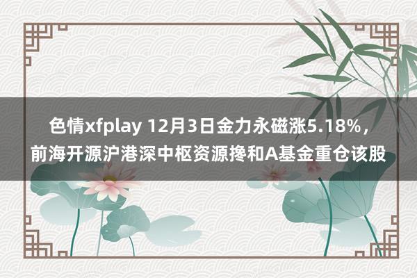 色情xfplay 12月3日金力永磁涨5.18%，前海开源沪港深中枢资源搀和A基金重仓该股