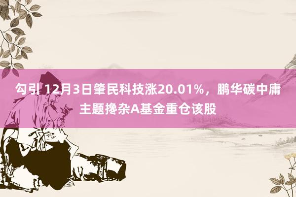 勾引 12月3日肇民科技涨20.01%，鹏华碳中庸主题搀杂A基金重仓该股