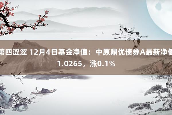 第四涩涩 12月4日基金净值：中原鼎优债券A最新净值1.0265，涨0.1%