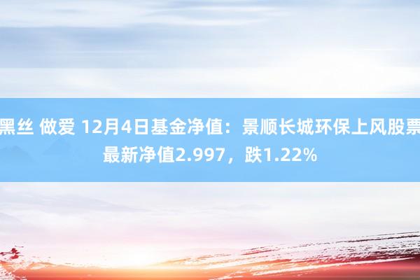 黑丝 做爱 12月4日基金净值：景顺长城环保上风股票最新净值2.997，跌1.22%