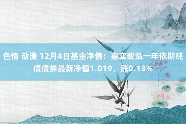 色情 动漫 12月4日基金净值：嘉实致泓一年依期纯债债券最新净值1.019，涨0.13%