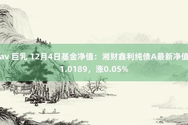 av 巨乳 12月4日基金净值：湘财鑫利纯债A最新净值1.0189，涨0.05%