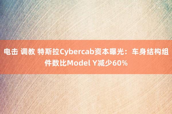 电击 调教 特斯拉Cybercab资本曝光：车身结构组件数比Model Y减少60%