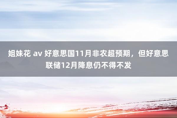 姐妹花 av 好意思国11月非农超预期，但好意思联储12月降息仍不得不发