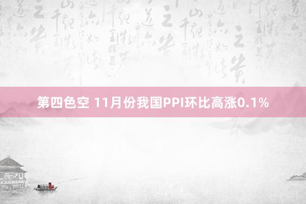 第四色空 11月份我国PPI环比高涨0.1%