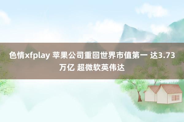 色情xfplay 苹果公司重回世界市值第一 达3.73万亿 超微软英伟达