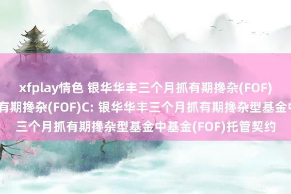 xfplay情色 银华华丰三个月抓有期搀杂(FOF)A，银华华丰三个月抓有期搀杂(FOF)C: 银华华丰三个月抓有期搀杂型基金中基金(FOF)托管契约