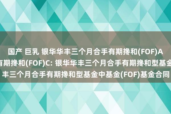 国产 巨乳 银华华丰三个月合手有期搀和(FOF)A，银华华丰三个月合手有期搀和(FOF)C: 银华华丰三个月合手有期搀和型基金中基金(FOF)基金合同