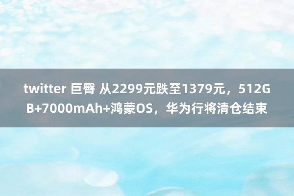 twitter 巨臀 从2299元跌至1379元，512GB+7000mAh+鸿蒙OS，华为行将清仓结束