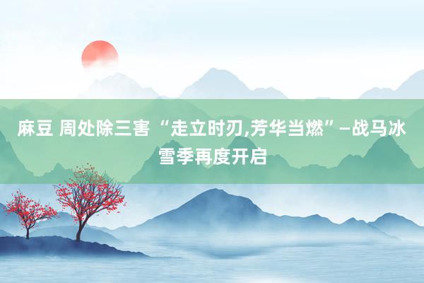 麻豆 周处除三害 “走立时刃，芳华当燃”—战马冰雪季再度开启